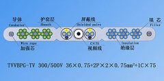 扁平絞合型排列帶屏蔽、鋼芯和視頻線電梯電纜