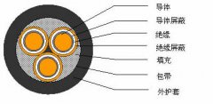 3*2.5，3*3，3*4，3*6，3*10，3*16，3*25屏蔽電纜結(jié)構(gòu)圖