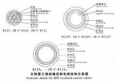 KYJV，KYJVP，KYJV22額定電壓0.6/1kV交聯(lián)聚乙烯絕緣控制電纜