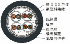 熱電偶專(zhuān)用高溫測(cè)量電纜線(xiàn)AKFFPXR200,ANFFPXR200