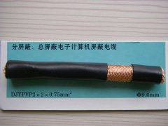 DJYPVP 2*2*0.75 分屏蔽、總屏蔽電子計算機(jī)屏蔽電纜