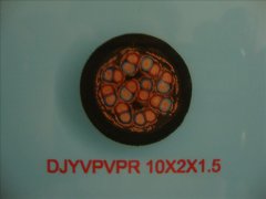 WDZ-DJYPYPR?10*2*1.5低煙無鹵阻燃計(jì)算機(jī)電纜